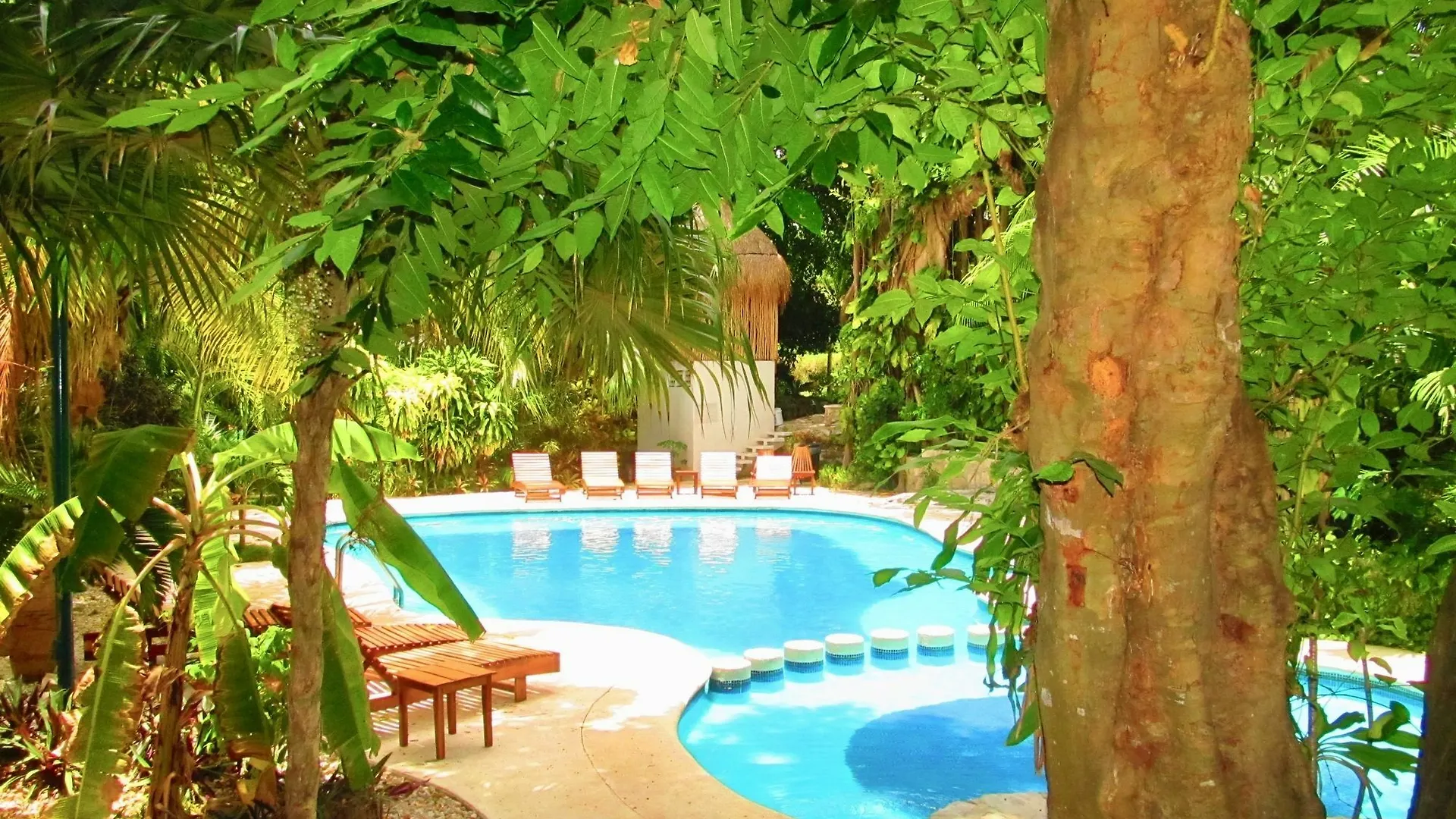 Casa Susana By Playa Paradise Плая-дель-Кармен